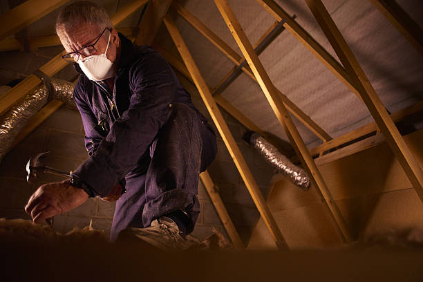 Best Geographic-Specific Insulation Services in Butner, NC